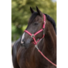 Kantar dla konia Hippo, bordowy/różowy roz. Pony  Covalliero